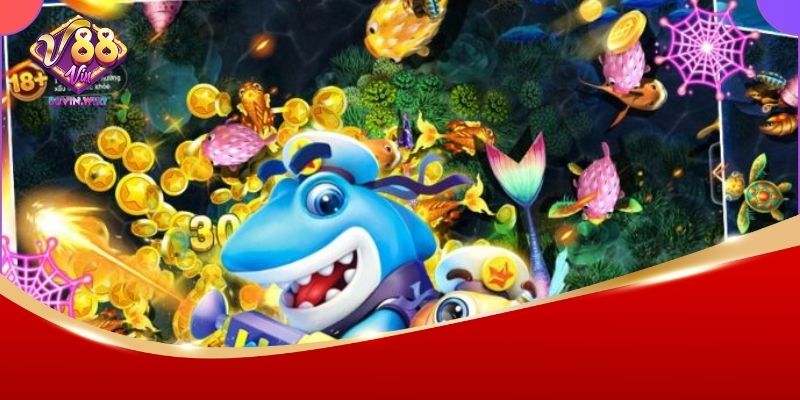 Mẹo săn cá cực chuẩn từ cao thủ