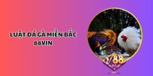 Luật Đá Gà Miền Bắc 88vin